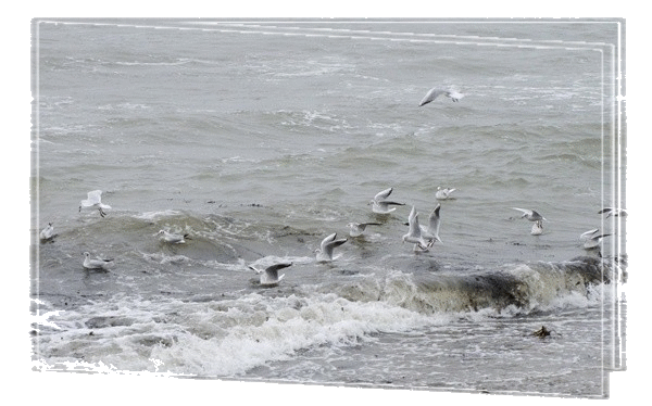 POEMES SUR LA MER(par différents auteurs) 182e3d5b