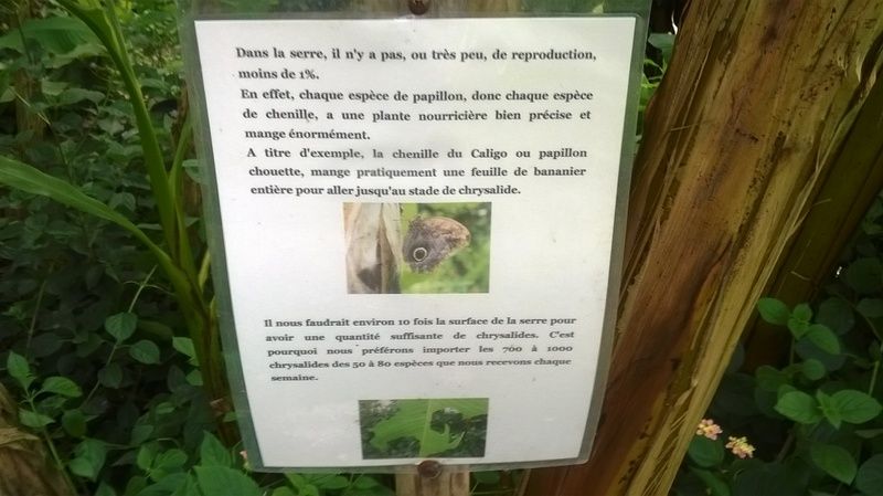 Les animaux (un peu de tout) WP_20150731_049