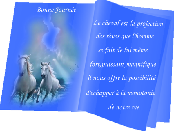 Bonjour, bonsoir..... - Page 29 Ccbb7897