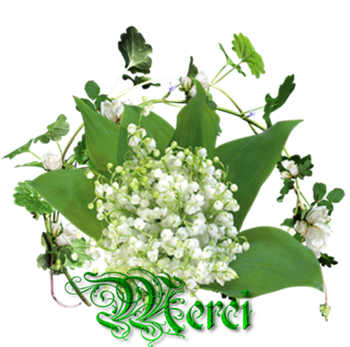 Mon jardin ces derniers jours Muguet_2