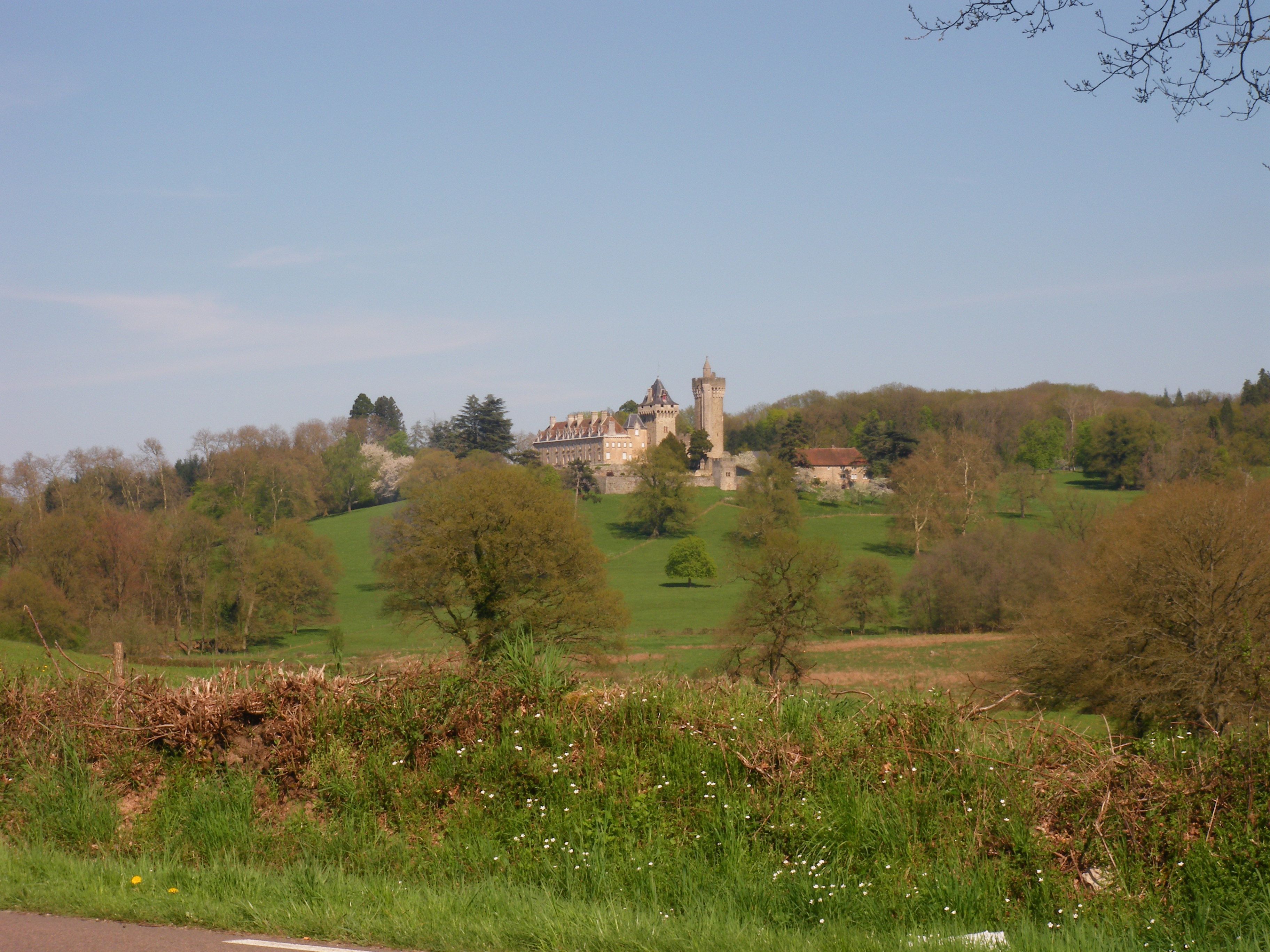 CHATEAU DU PLESSIS A BLANZY S/LOIRE 18d8ea7f