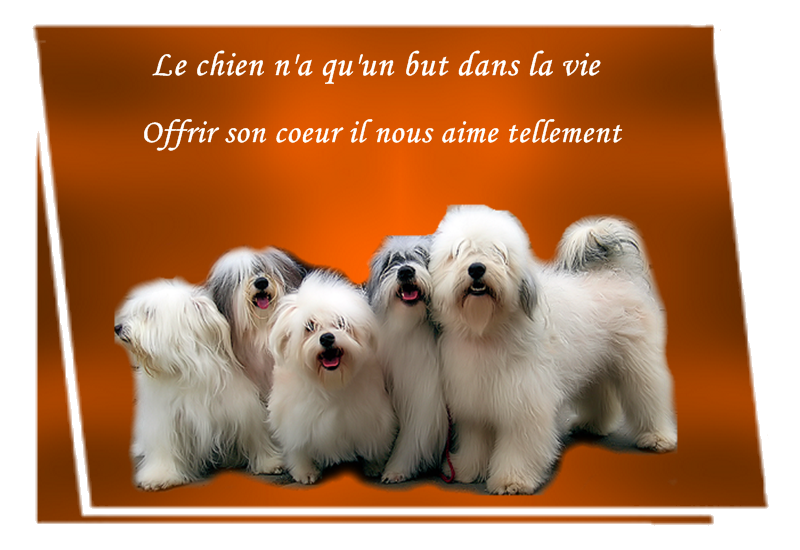 Autres petites citations C10f85eb