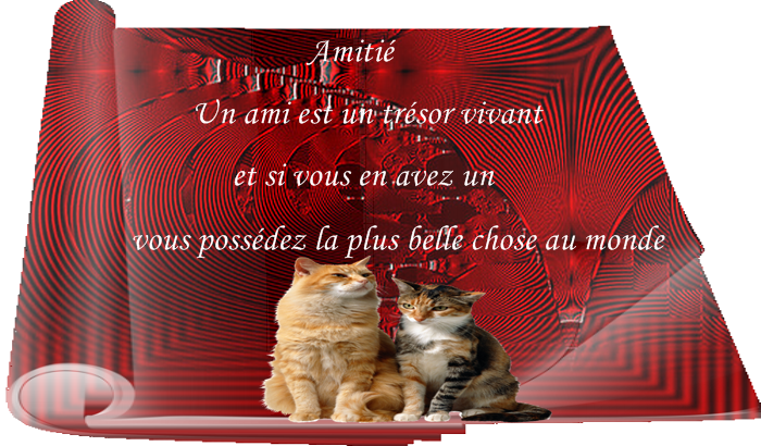 Petites citations diverses D847455f