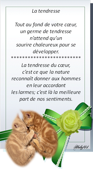 Autres petites citations La-tendresse-citation