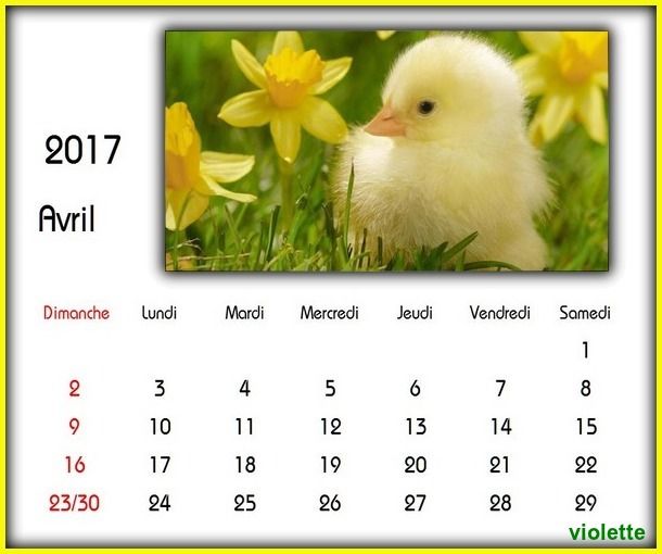 Calendrier  avril 2017 + autres à venir Oie_gBhlb4FMIfxx