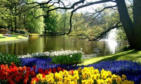 ◕‿◕｡ llega la PRIMA..PRIMAVERA  ｡◕‿◕｡ Keukenhof