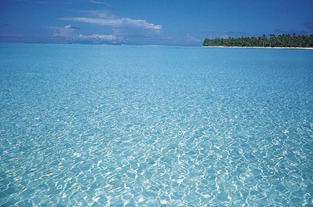 مطعم المنتدى  - صفحة 2 Tahiti-clean.water