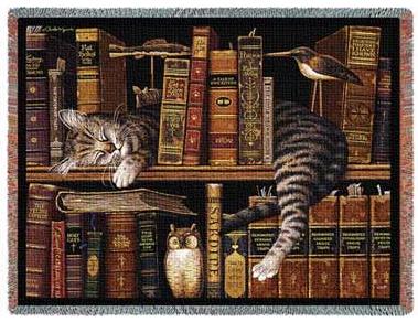 Top Five Tuesday #5 Cotton-tapestry-throw-cat-sleeping-bookshelf