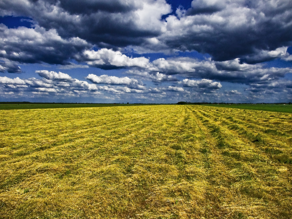 Vojvodina Serbien_Vojvodina