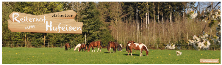 Reiterhof zum Hufeisen Vorstellung_foren1