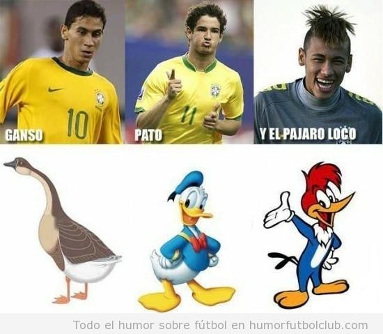 Algo de HUMOR La-canarinha-brasil-pato-ganso-neymar-pajaro-loco-humor-futbol