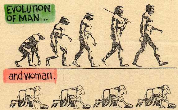 Darwin vs les créationistes... le fight !!! - Page 2 Evolution415