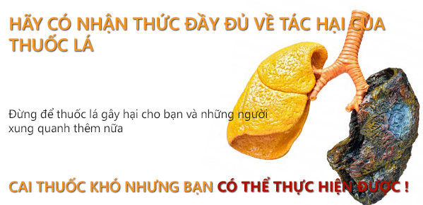 Topics tagged under 2 on Diễn đàn rao vặt hiệu quả, dang tin mua ban mien phi - Page 34 1