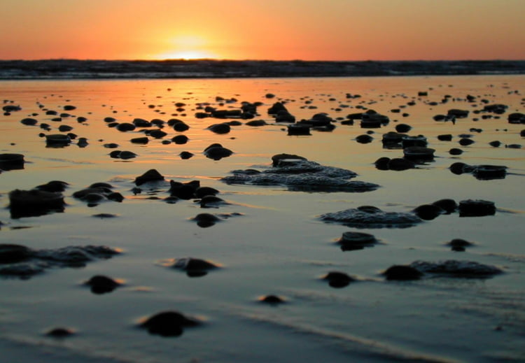 [lien] les couchers de soleil  1735918-coucher-de-soleil-a-foxton-beach