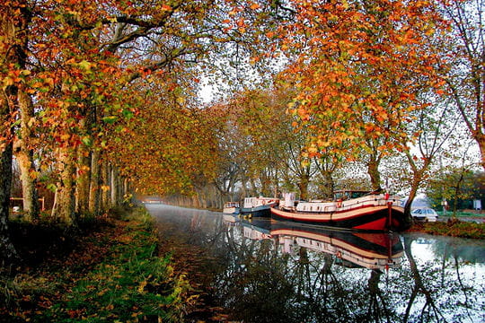 Samedi 4 541918-flanerie-le-long-du-canal-du-midi