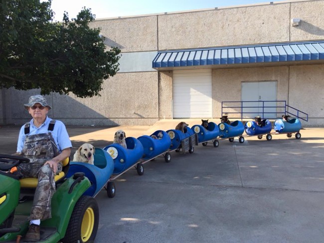 Este hombre pasa su jubilación alimentando y paseando en tren a perros abandonados 650_1200