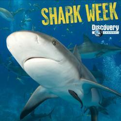 Battle Grounds XI: James Shark Birthday Special Shark_week_discovery