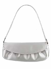      SilverBag_200x271