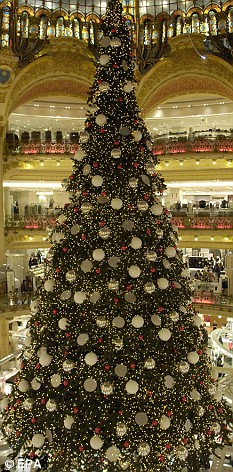 Four illegal immigrants caught sneaking into Britain inside 32ft fake Christmas tree . Article-1089174-02834198000004B0-292_233x472