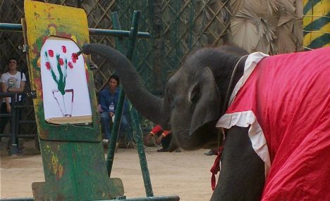 Can jumbo elephants really paint? Intrigued by stories, naturalist Desmond Morris set out to find the truth Article-1151283-0395AD5E000005DC-331_468x286