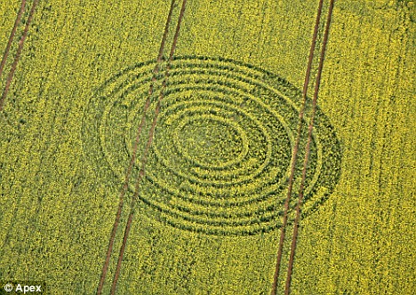 The first crop circle spotted in 2009 Article-0-04803C82000005DC-10_468x332