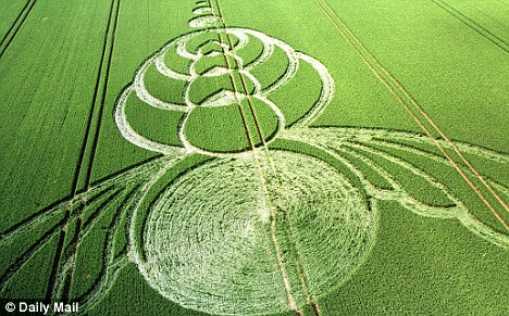 The first crop circle spotted in 2009 Article-1171691-0484CE68000005DC-241_468x291