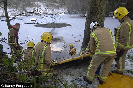 Fireman facing disciplinary action after he 'breached health and safety rules' while saving dog from frozen lake Article-1250974-0849479F000005DC-363_468x309