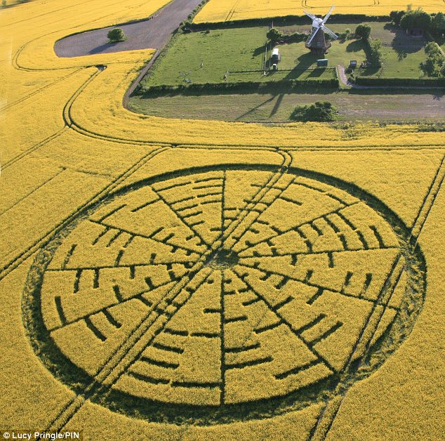 Crop Circle Season 2011 «» Updated - Page 2 Article-0-09B9FEE9000005DC-471_634x628