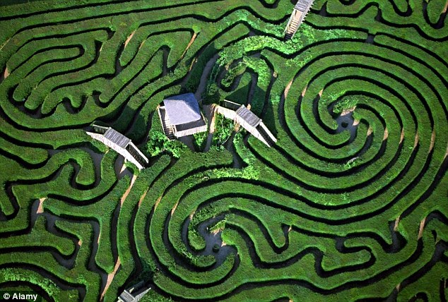 Where's the fun in that? iPhone cheats crack Britain's biggest hedge maze in minutes Article-1318150-0B7F25B8000005DC-999_634x428