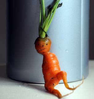 صور // ثمار الجزر بشكل نادر Carrot_306x325