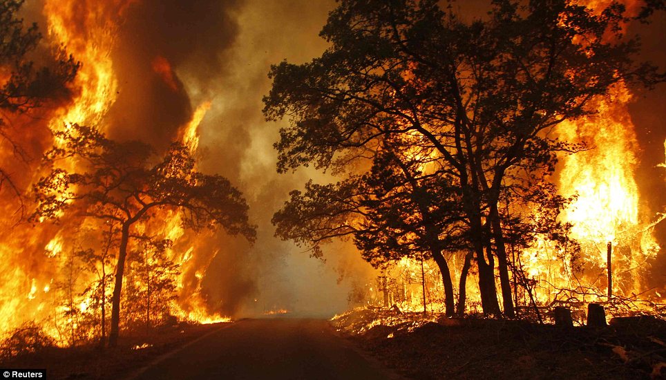 يالصور // الحرائق تجبر الالاف الى الفرار فى ولاية كاليفورنيا ولاس فيغاس Article-2033834-0DBA5F9600000578-345_964x550
