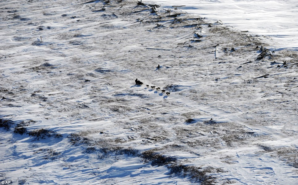 بالصور والفيديو  // رحلة ال 1000 ميل فى جليد سيبيريا صور رهيبه ورائعة Article-0-1227B9AE000005DC-633_964x597