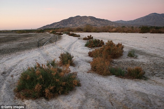 Millones de peces muertos arrojados en el lago de Salt Lake confirmadan como la fuente del hedor a huevo podrido en Los Angeles  Article-2202288-14DFF363000005DC-102_634x422