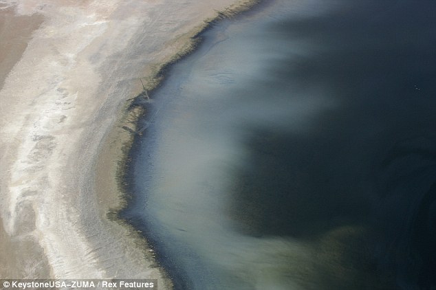 Millones de peces muertos arrojados en el lago de Salt Lake confirmadan como la fuente del hedor a huevo podrido en Los Angeles  Article-2202288-14FA730D000005DC-38_634x422