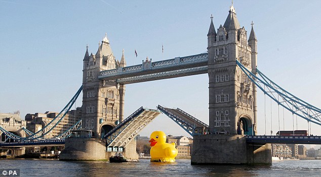  VIDEO -  Londra , papero gigante sul Tamigi   Rai.Tv Article-2246297-1675E32F000005DC-203_634x351