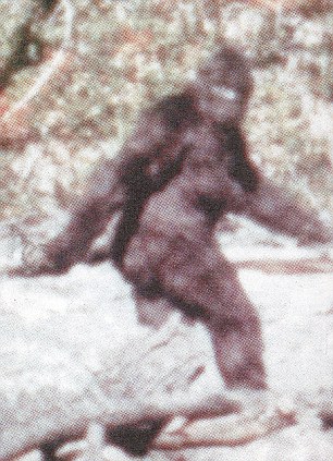 Here is Something We Have Not Seen for Awhile - Fresh Bigfoot mystery  Article-2312876-00237DE900000258-668_306x423