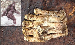 Is this evidence of Bigfoot? Nephilim? Article-2312876-196DC0BF000005DC-430_308x185