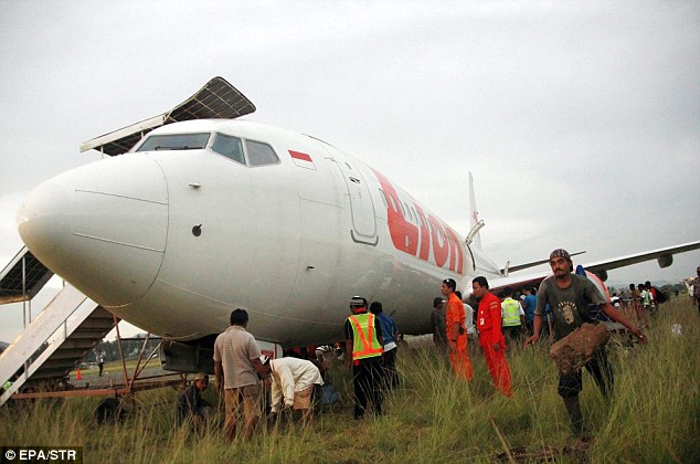 POUSO - [Internacional] Avião indonésio colide com vaca durante pouso Article-2386727-1B329645000005DC-888_634x420