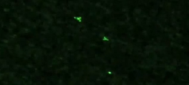 Mystery as haunting night-vision video captures UFOs passing over Germany. Article-2436951-185B570D00000578-281_634x286