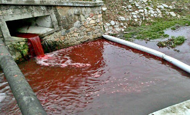 The river of blood: Villagers' shock as Slovakian waterway turns red overnight 'like something from a horror film' Article-2517516-19CE247D00000578-481_634x385