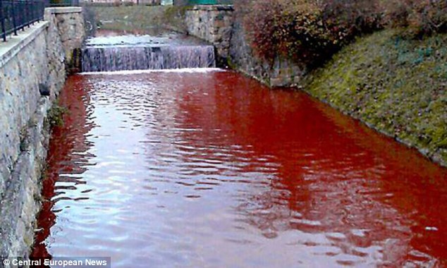 The river of blood: Villagers' shock as Slovakian waterway turns red overnight 'like something from a horror film' Article-2517516-19CE248100000578-659_634x380