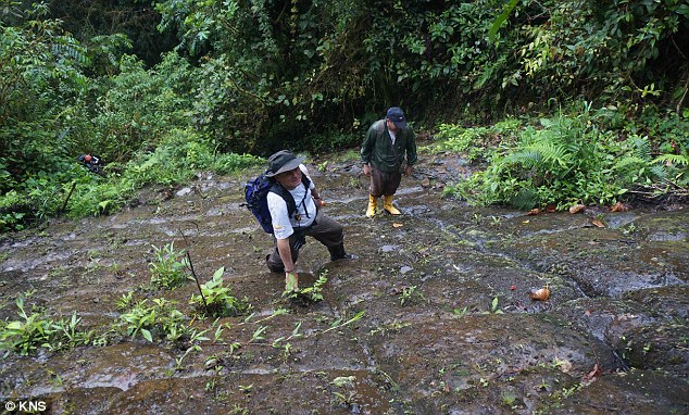 Is this the lost tomb of the last Incan emperor? Amazon ruins could solve one of the greatest mysteries of the ancient world Article-2526389-1A32A53A00000578-134_634x382