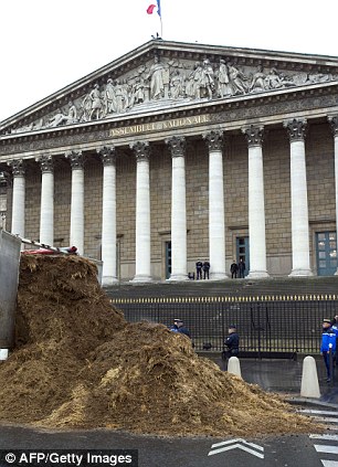 Funny: Activist unloads tonnes of horse manure in front of France's parliament building in protest at Hollande Article-2540853-1AB54B8800000578-15_306x423