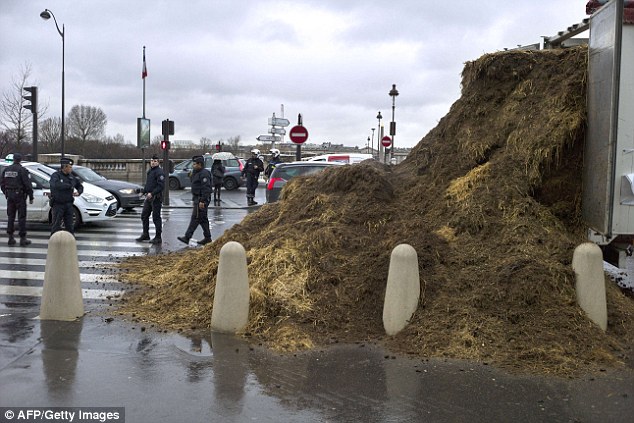 Funny: Activist unloads tonnes of horse manure in front of France's parliament building in protest at Hollande Article-2540853-1AB54D7700000578-834_634x423