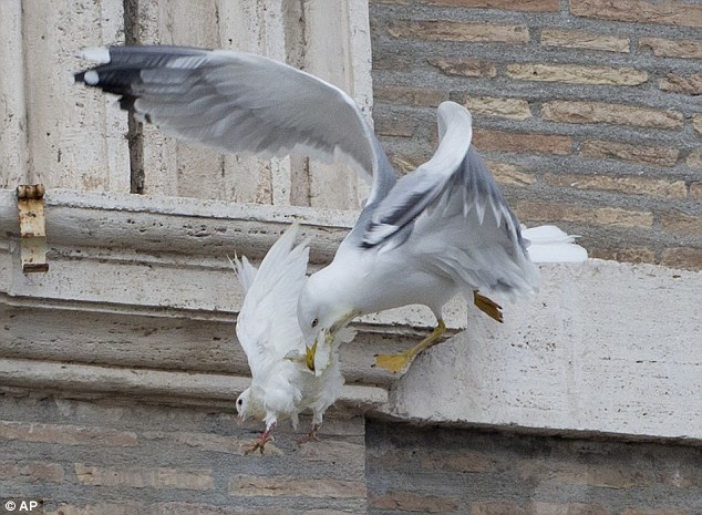 POPE RELEASES PEACE DOVES TO MEET DEMISE INSTANTLY Article-2546218-1AF8951E00000578-293_634x465