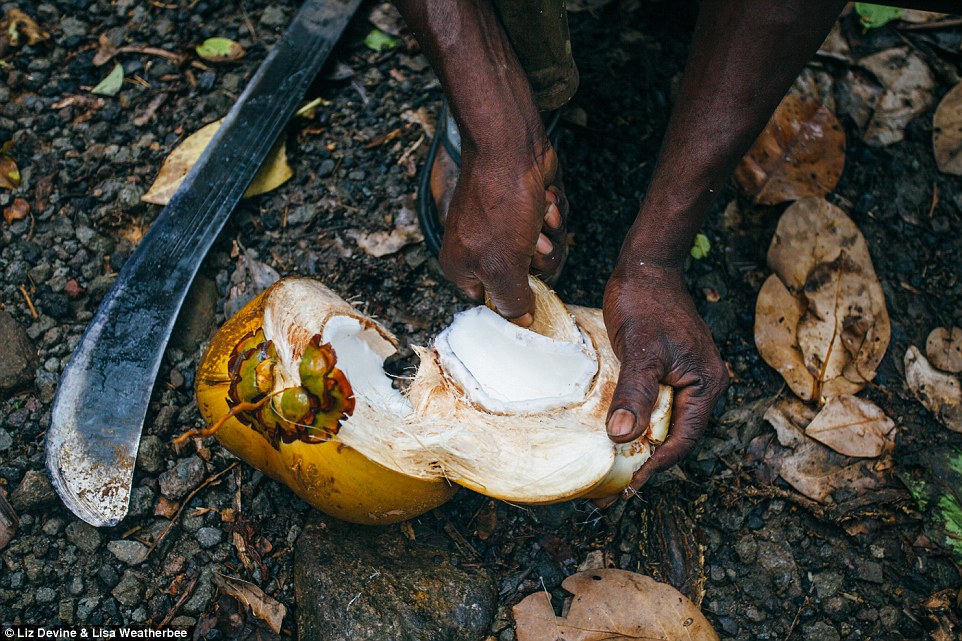 Caribbean's Dominica 2989172A00000578-3119712-image-a-34_1434021845697