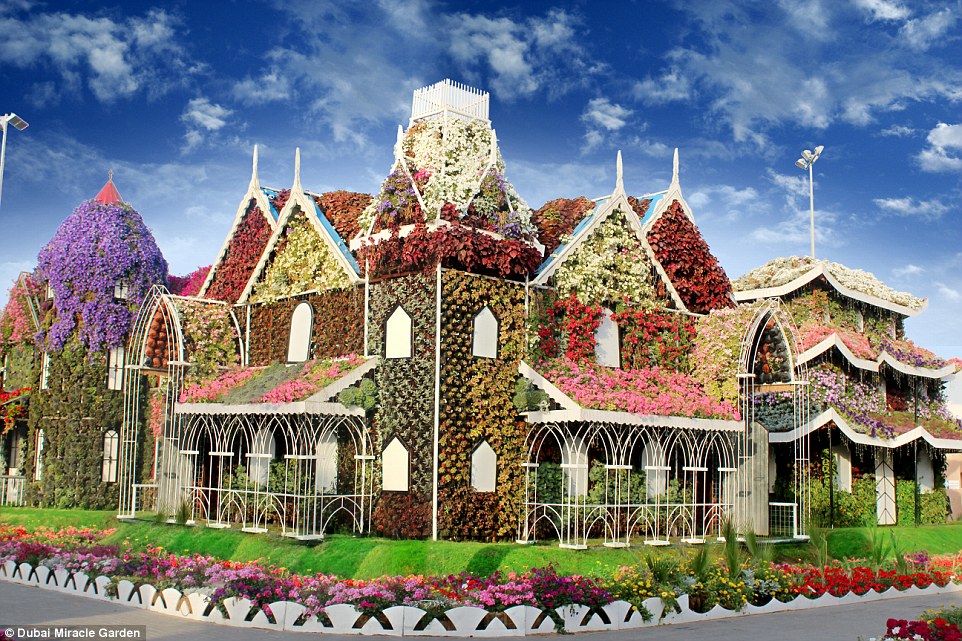 Vườn hoa giữa lòng sa mạc : Dubai Miracle Garden 29BE335500000578-0-image-a-41_1434707228349