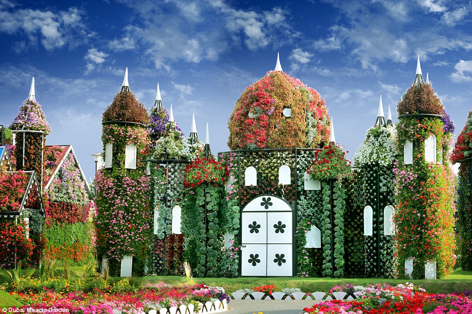 Vườn hoa giữa lòng sa mạc : Dubai Miracle Garden 29BE387000000578-0-image-a-15_1434706995560