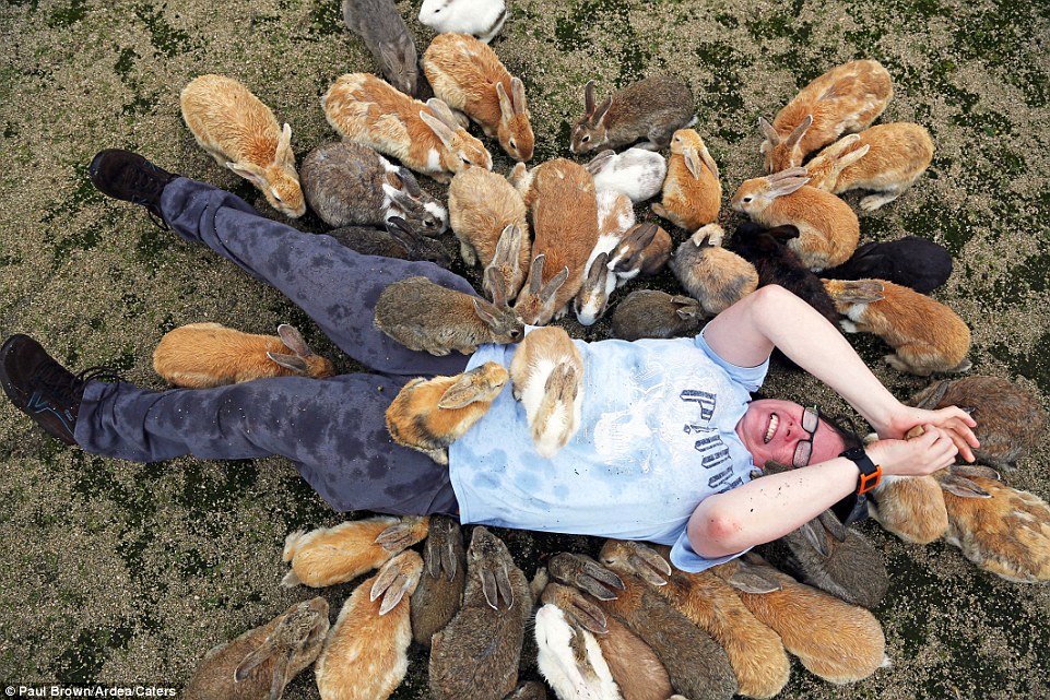 "Đảo Thỏ" ở Nhật 2ABE4E9000000578-3170464-Tourists_are_flocking_to_Japan_s_Rabbit_Island_for_an_opportunit-a-1_1437566077419