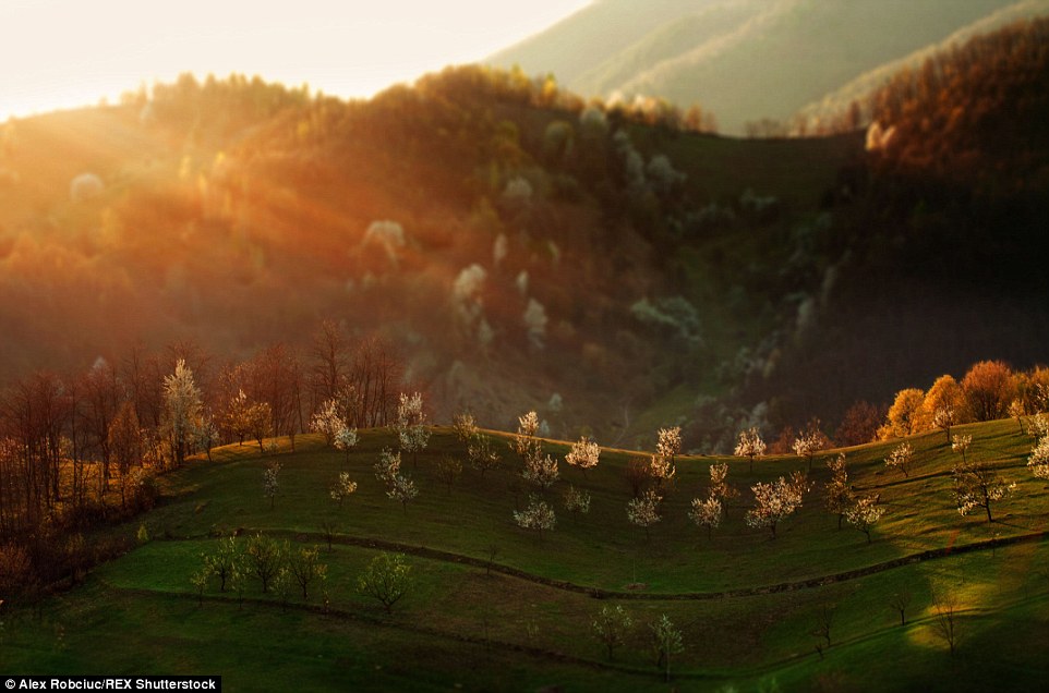 Ảnh đẹp Transylvania, Romania 2AE69F7500000578-0-image-a-190_1438091690399